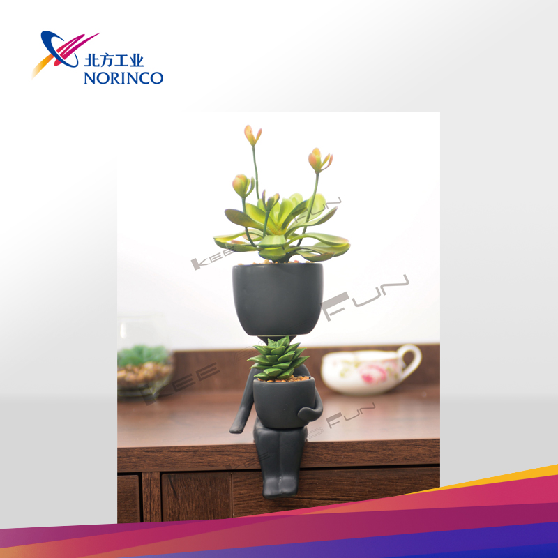 ceramic plant pot