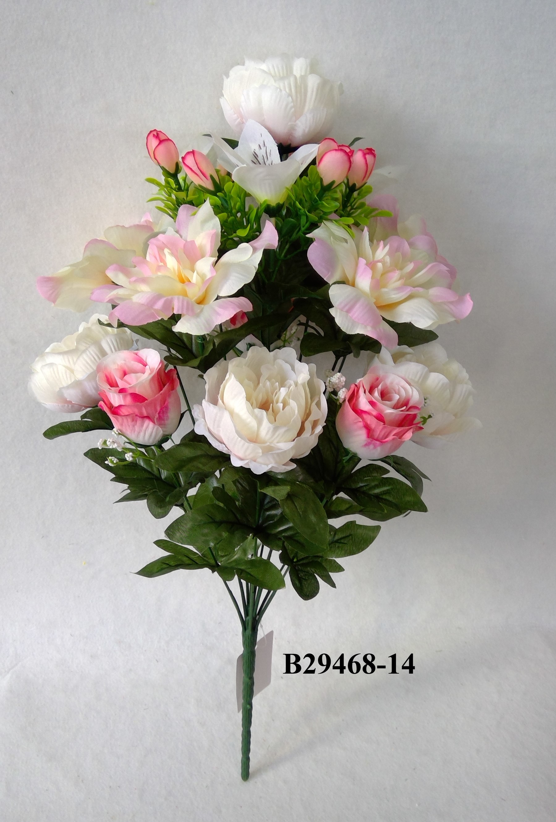 Peony rosebud mix bush x 14