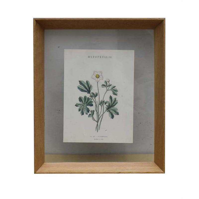 Natural oak frame with picture P562