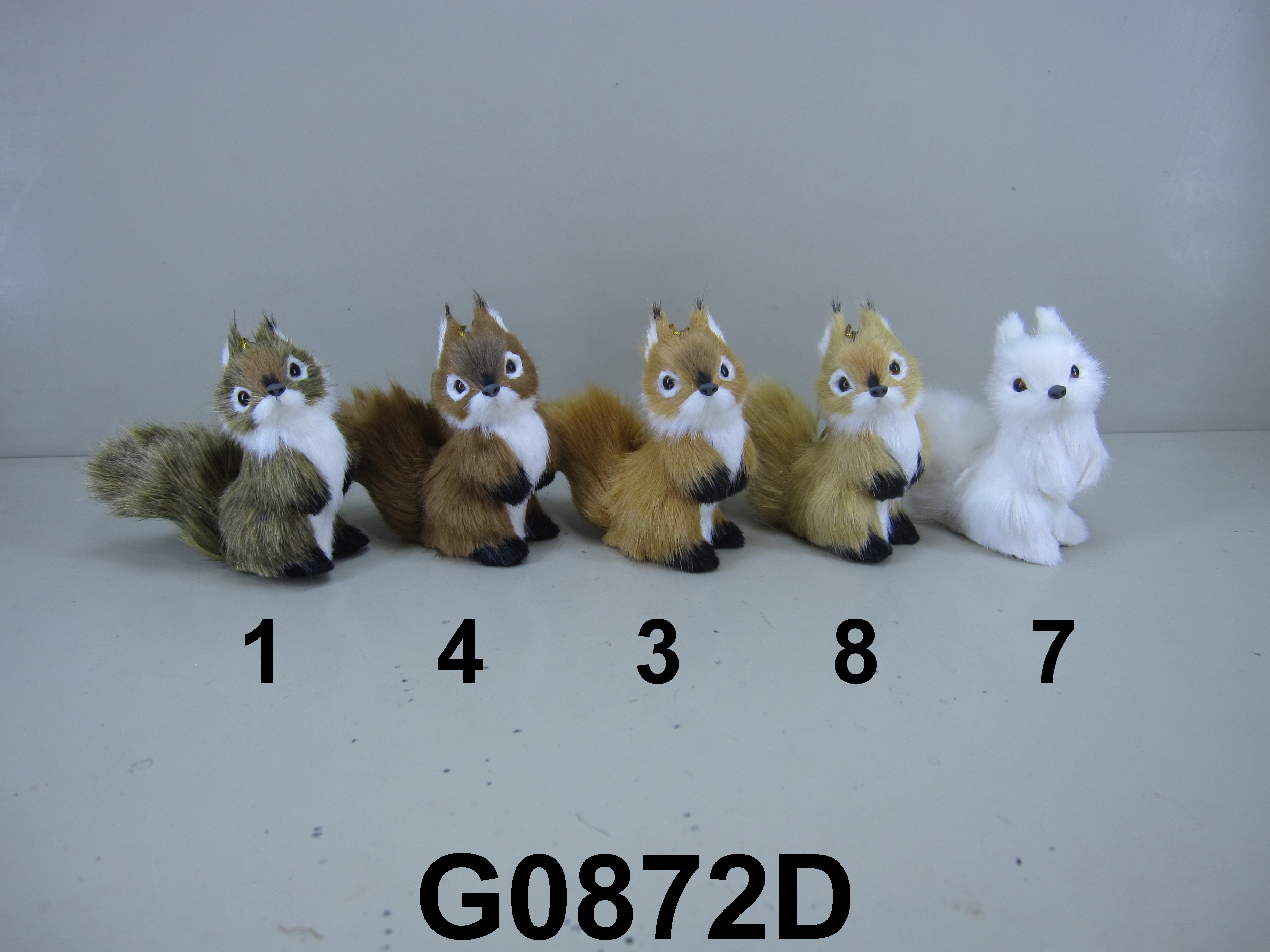 Squirrel