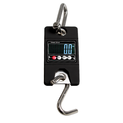 EH-LS009 Portable hook scale