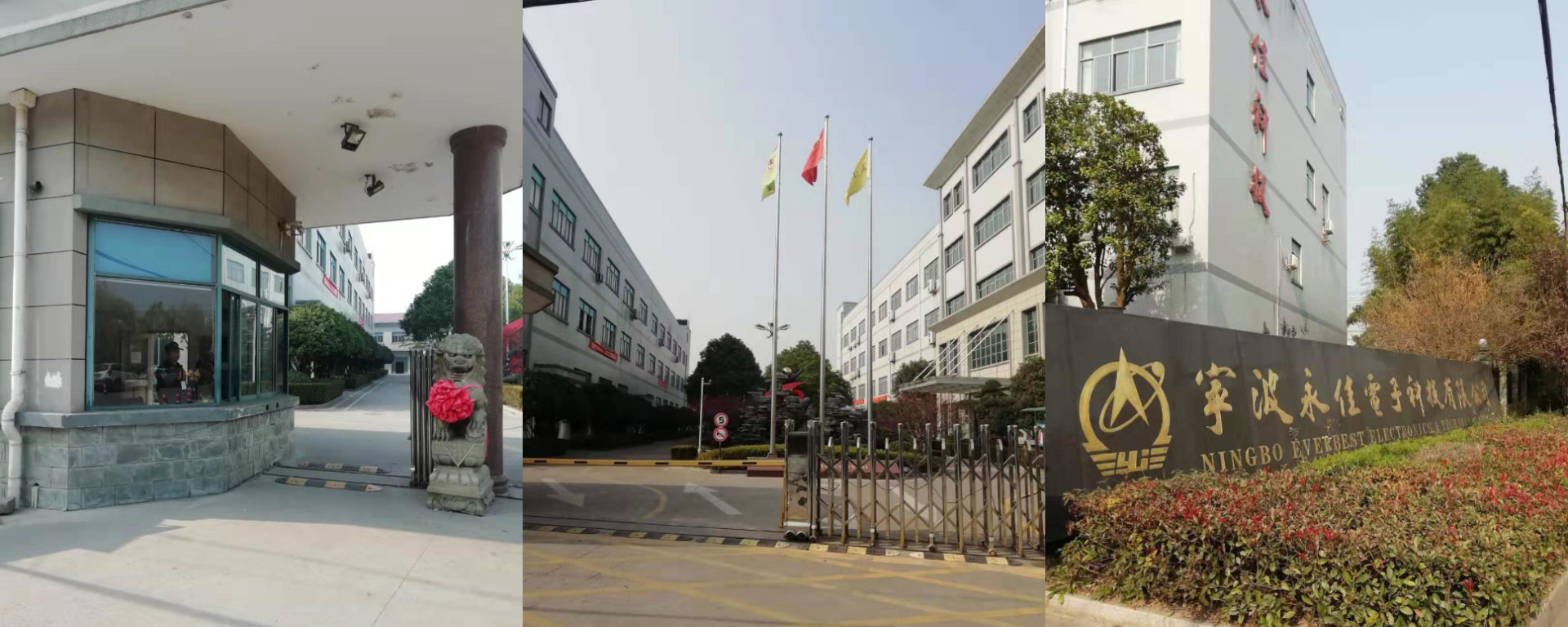 Ningbo Yongjia Electronic Technology Co., Ltd. – electric iron 3