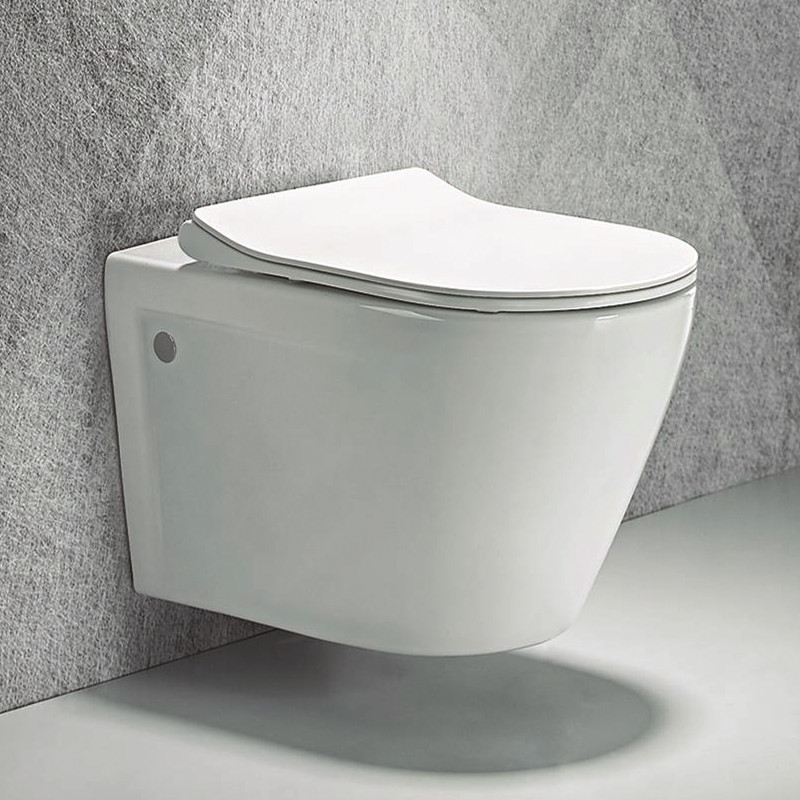 wall hung toilet