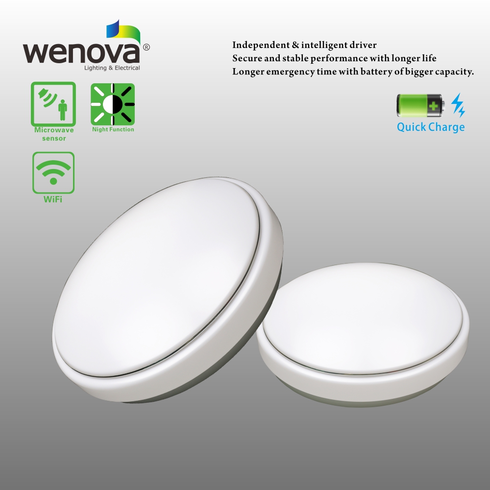 LED Emergency Ceiling Lamp