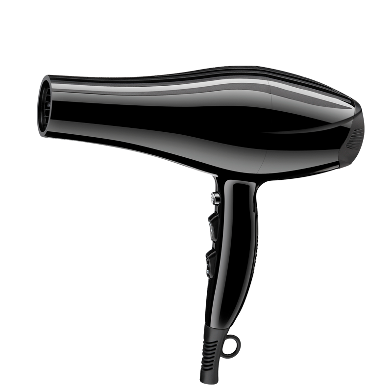 Professional Ionic Salon Hair Dryer, Powerful 2200 watt Ceramic Tourmaline Blow Dryer, Pro Ion quiet Hairdryer