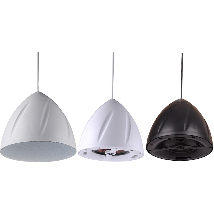 hanging speaker