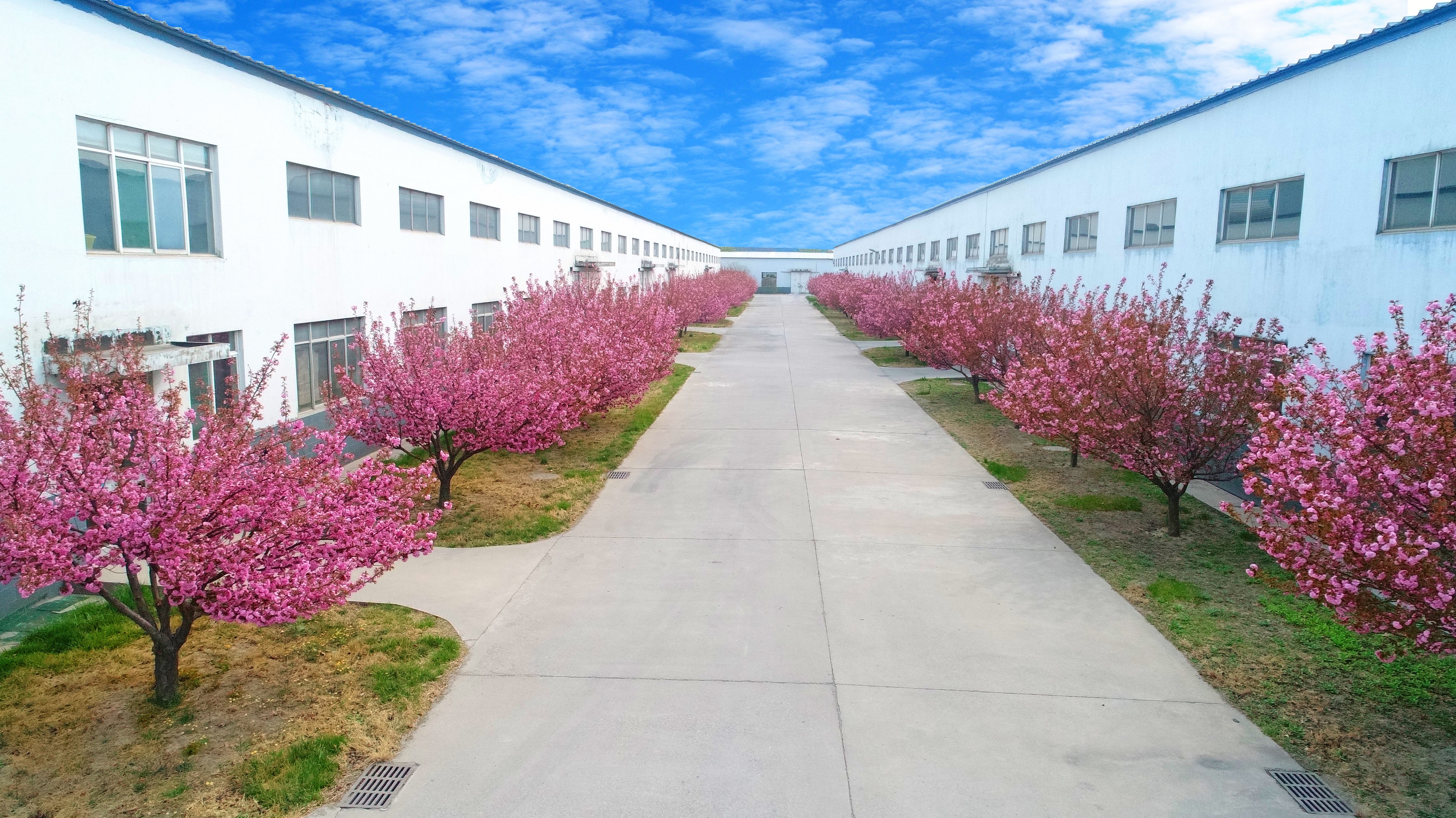 Zibo Sisha Taishan Abrasive Cloth and Sandpaper Co., Ltd. – Product photos 2