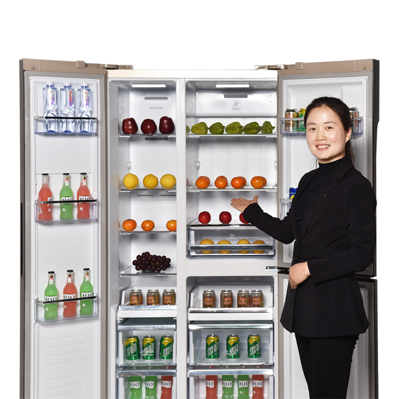 Snowsea Double Door Refrigerator-Bcd-501
