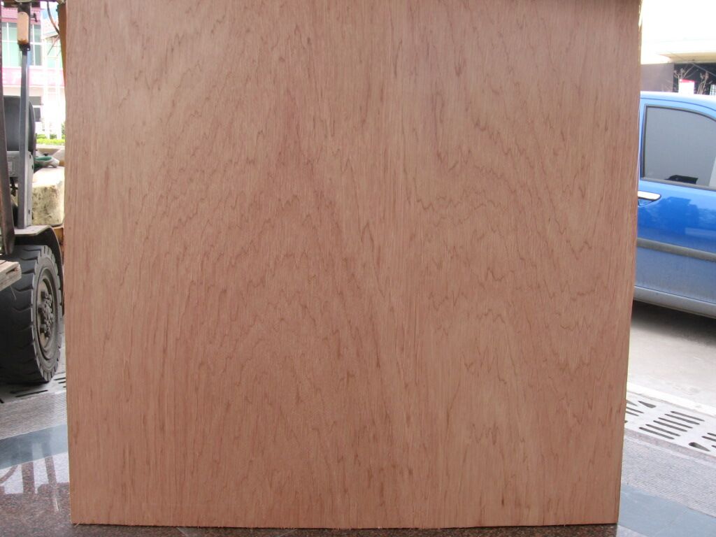 Commercial Bintangor Plywood