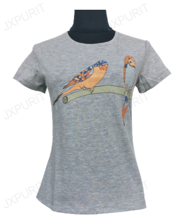 Ladies T-Shirt