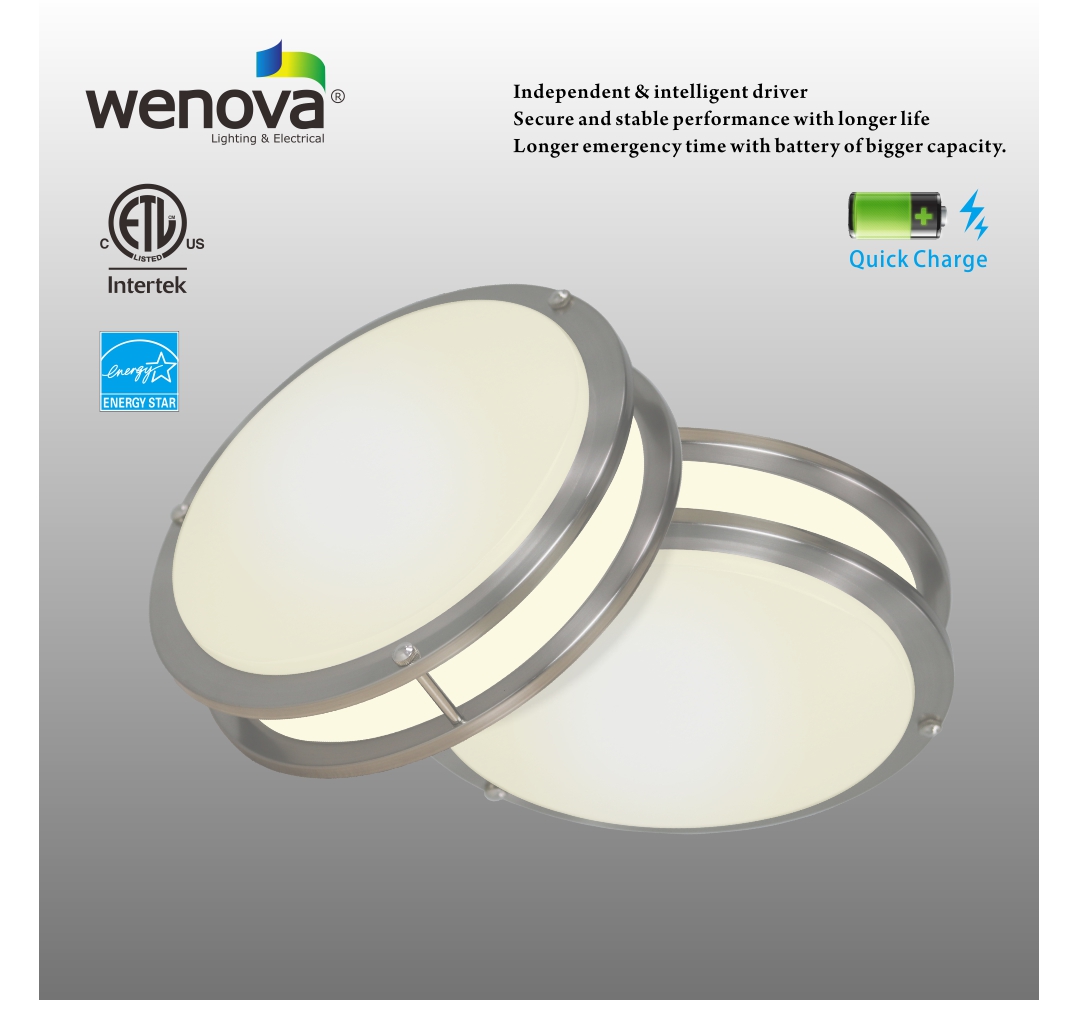 LED Emergency Ceiling Lamp