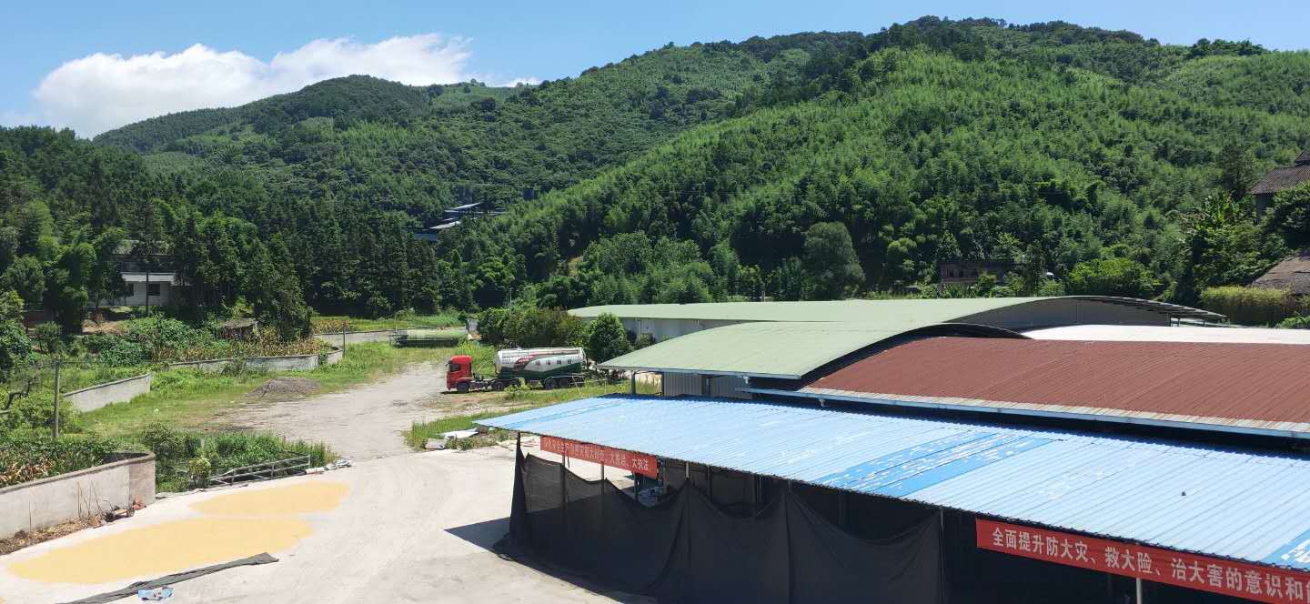 Chongqing Huicheng Bamboo Industry Co., Ltd. – other disposable items 3