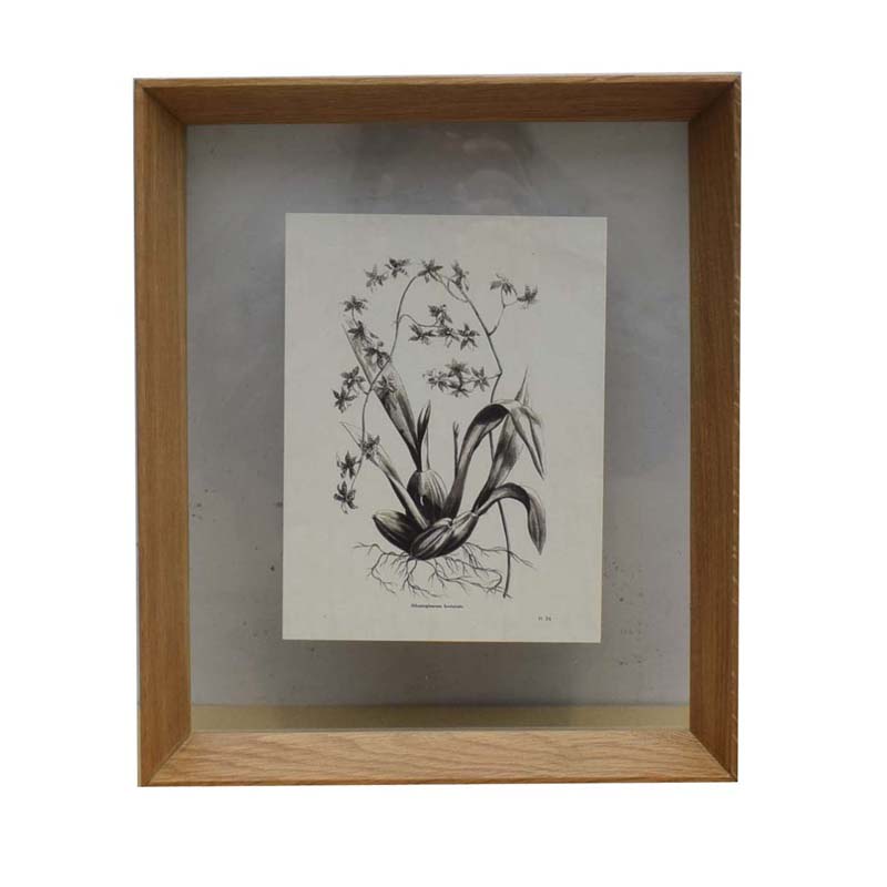 Natural oak frame with picture P959