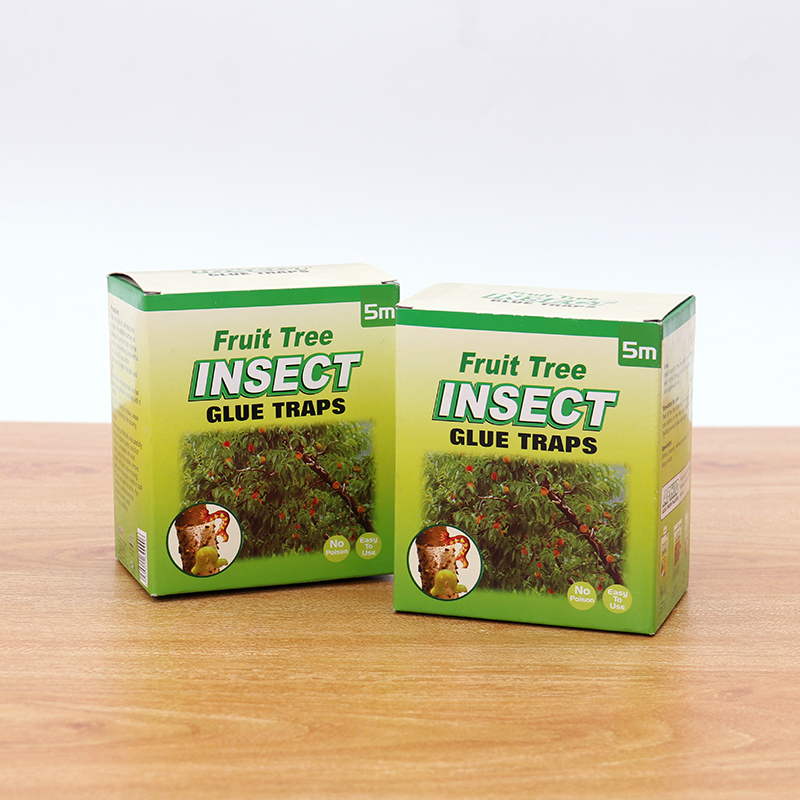 Insect Glue Traps