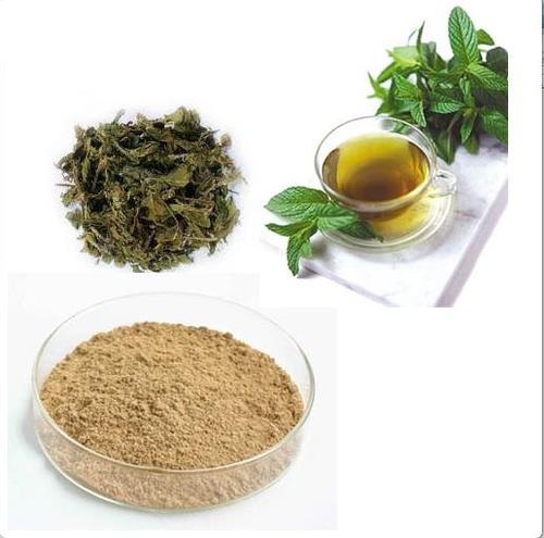 Green Tea Leaves P.E