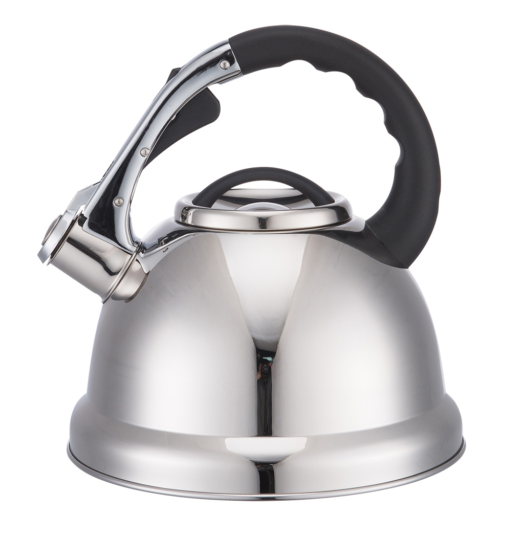stainless steel kettle