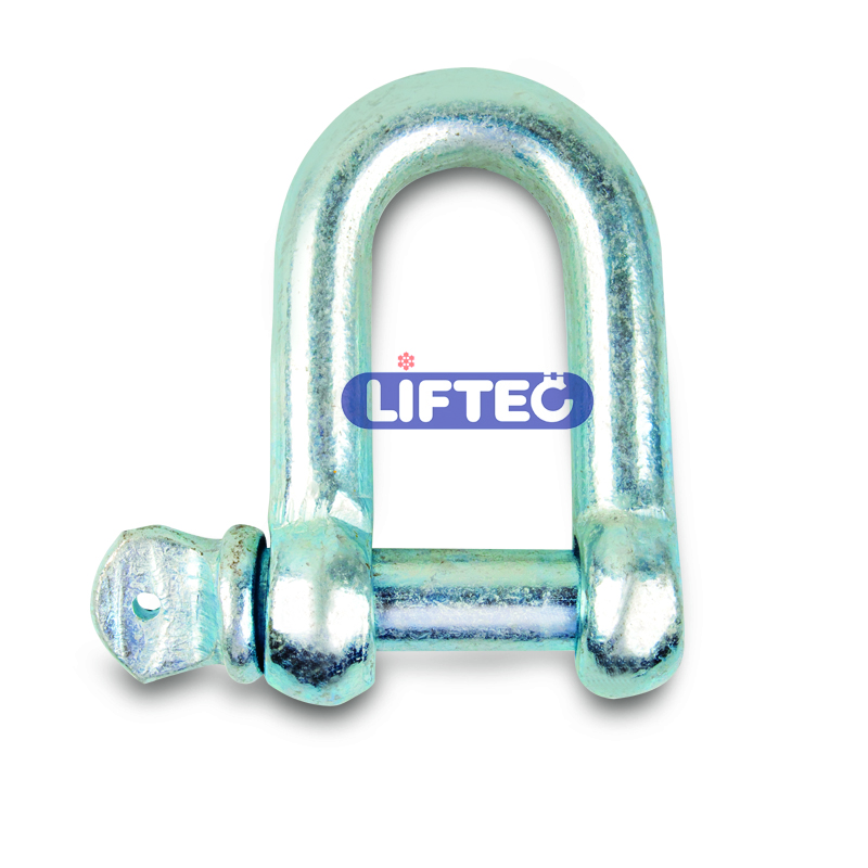 European Type Large Dee Shackle