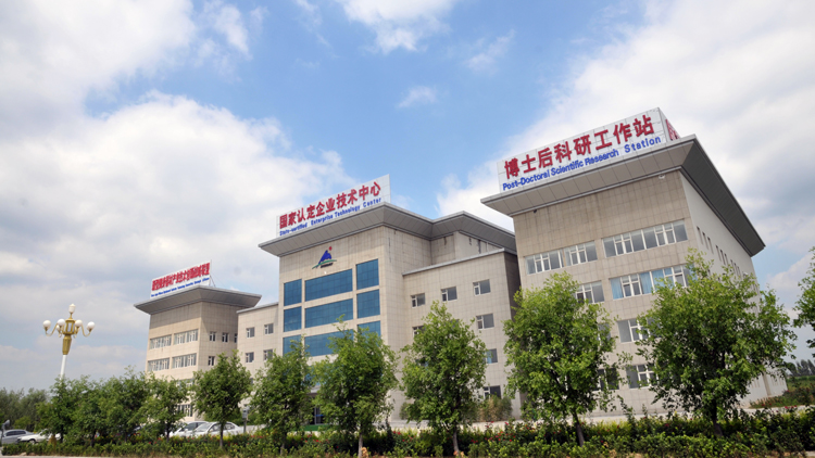 Taishan Sports Industry Group Co., Ltd. – Photos produits 3
