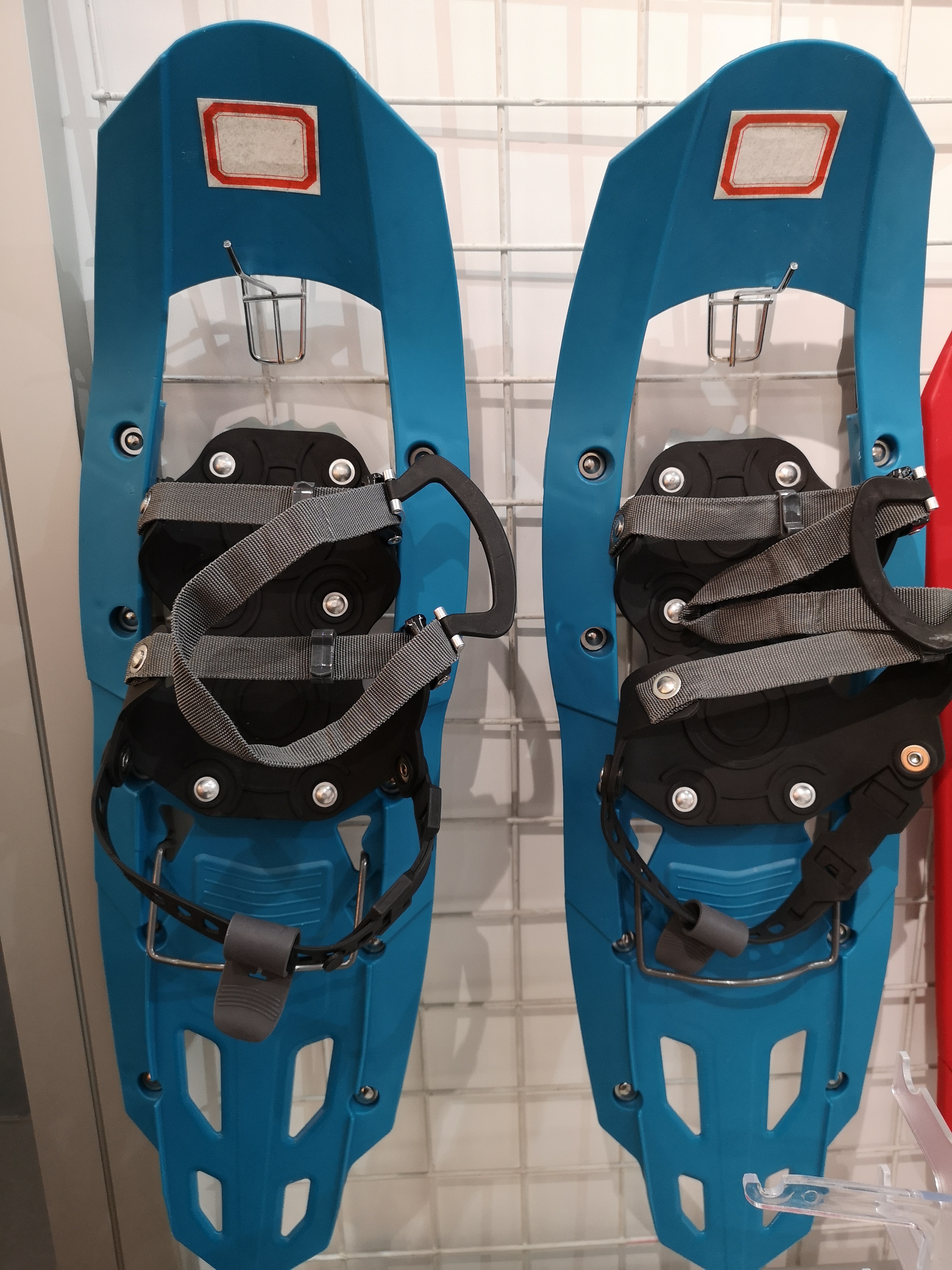 plastic snow shoes