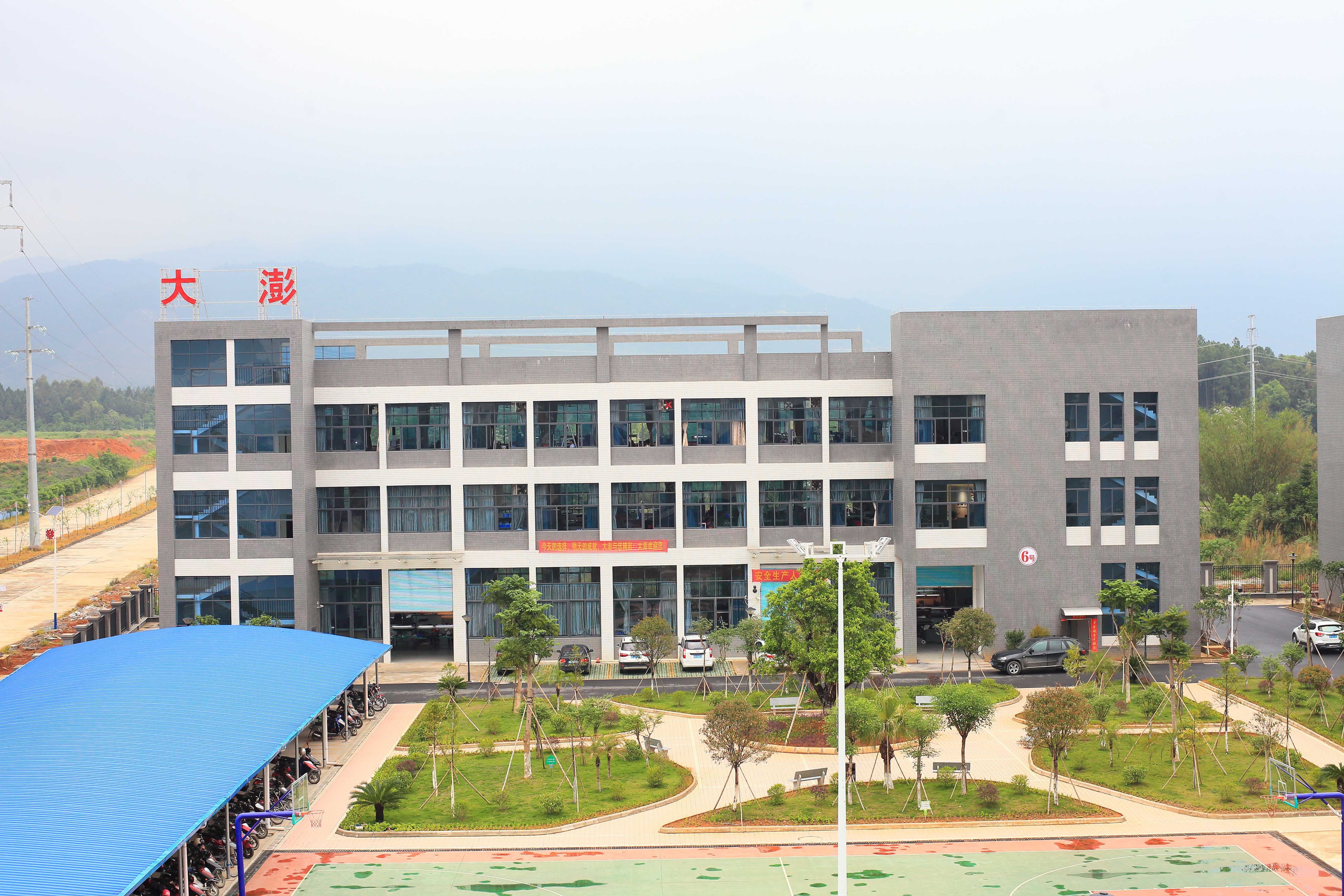 Lechang Dapeng Leather Goods Co., Ltd. – Handbags 1
