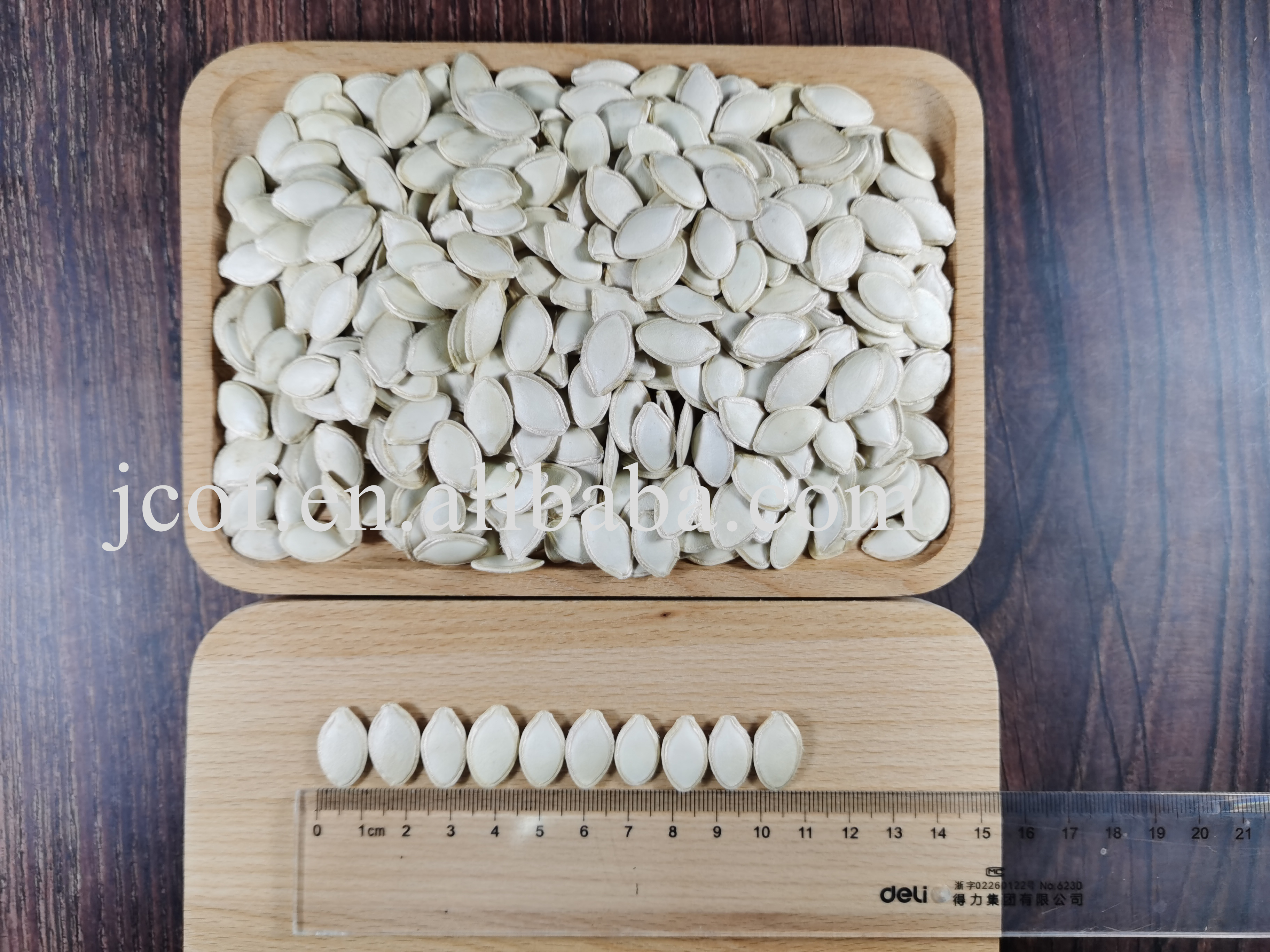 Shine Skin Pumpkin Seeds, 10mm Up, Inner Mongolia Origin