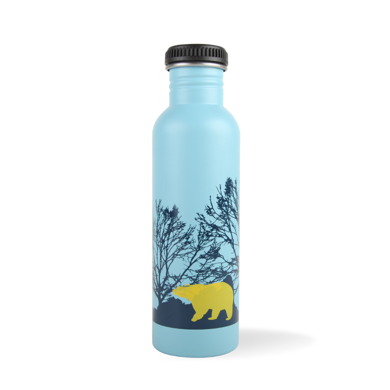 GOX Single Wall Stainless Steel Water Bottle For Sports For Travel