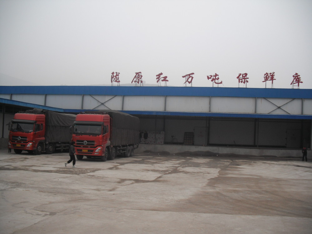 Jingning Longyuan Red Fruit Trading Co., Ltd. – Photos produits 3