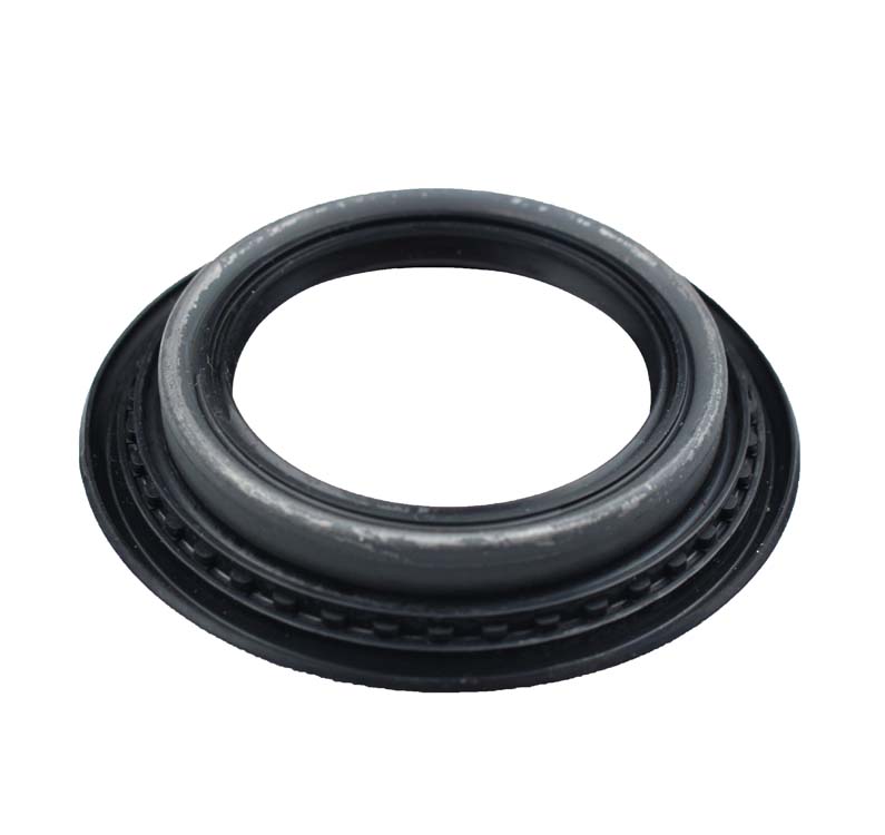 Oil seal