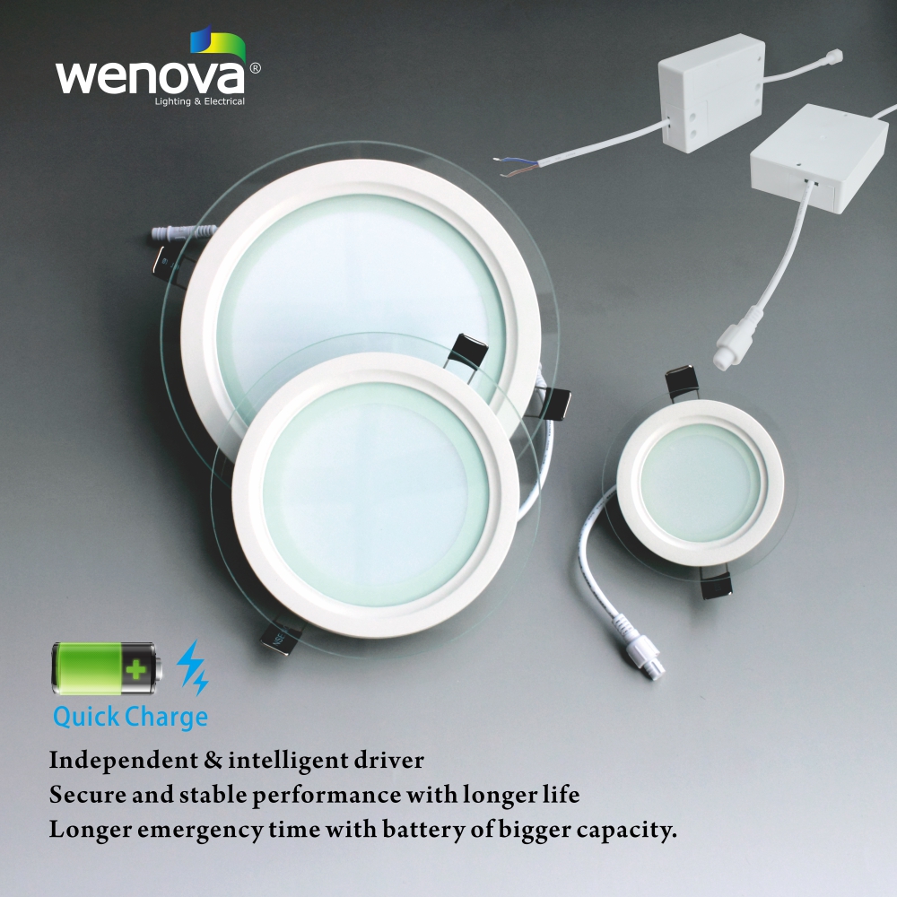 LED Emergency Down Light
