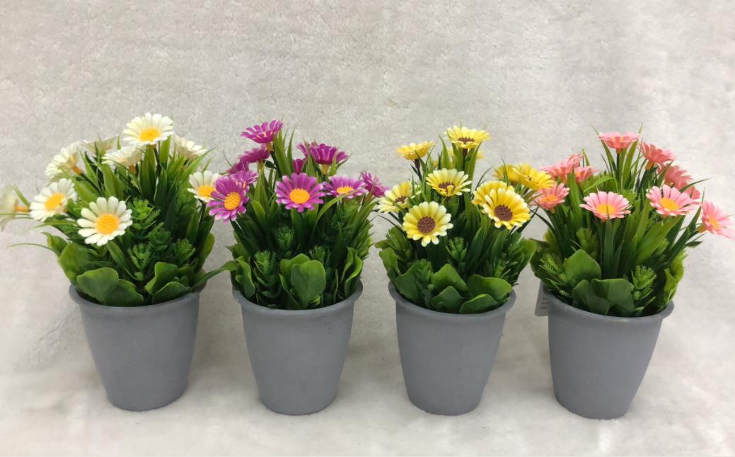 119#potted Plants