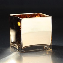 Glass Vase