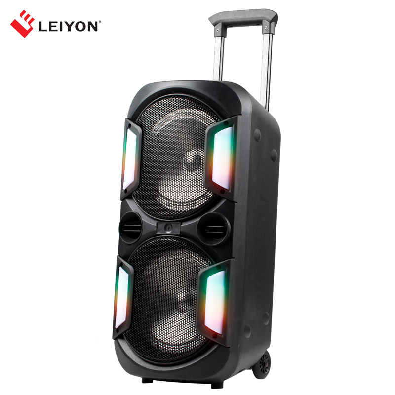 30W Double 8 inch Bluetooth Speaker D08F LED Lighting Portable Wireless Bluetooth Party Speaker