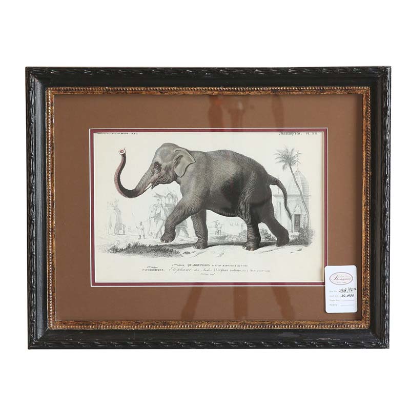 Rusty black with gold frame with picture