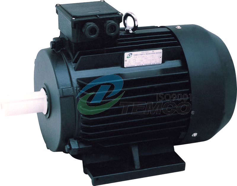 Y2 Three-Phase Induction Motor With Cast Iron Housing