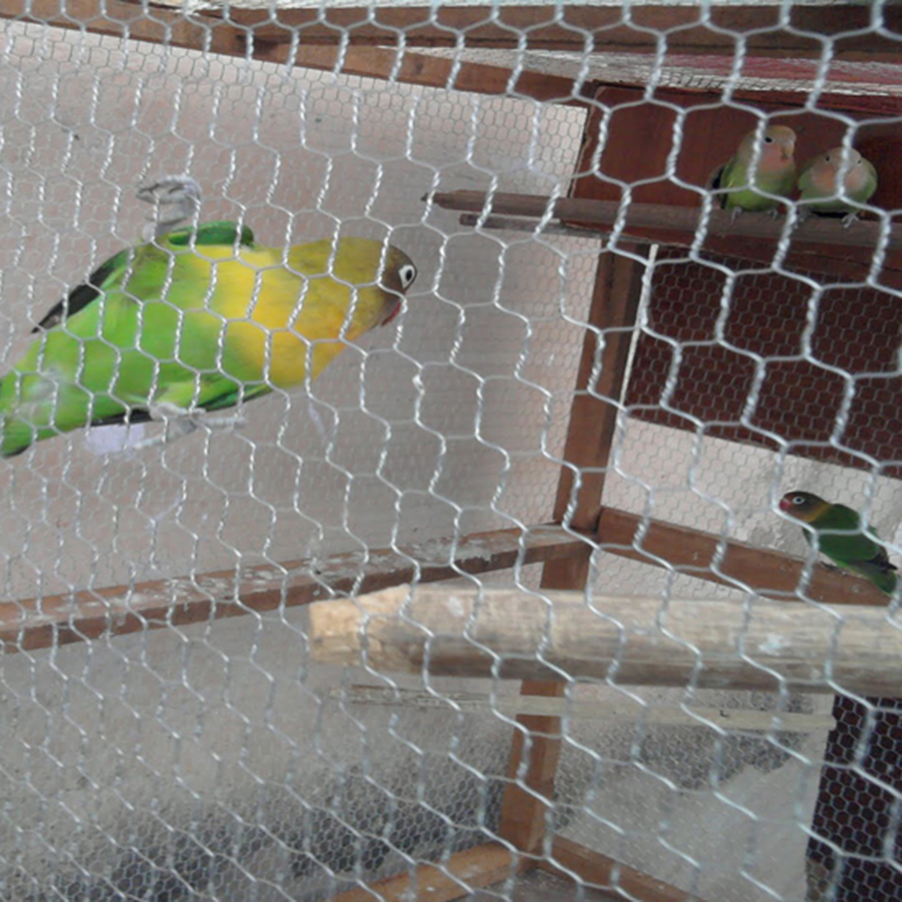 Wire Netting