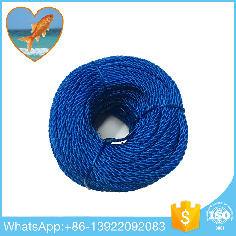 PE Rope