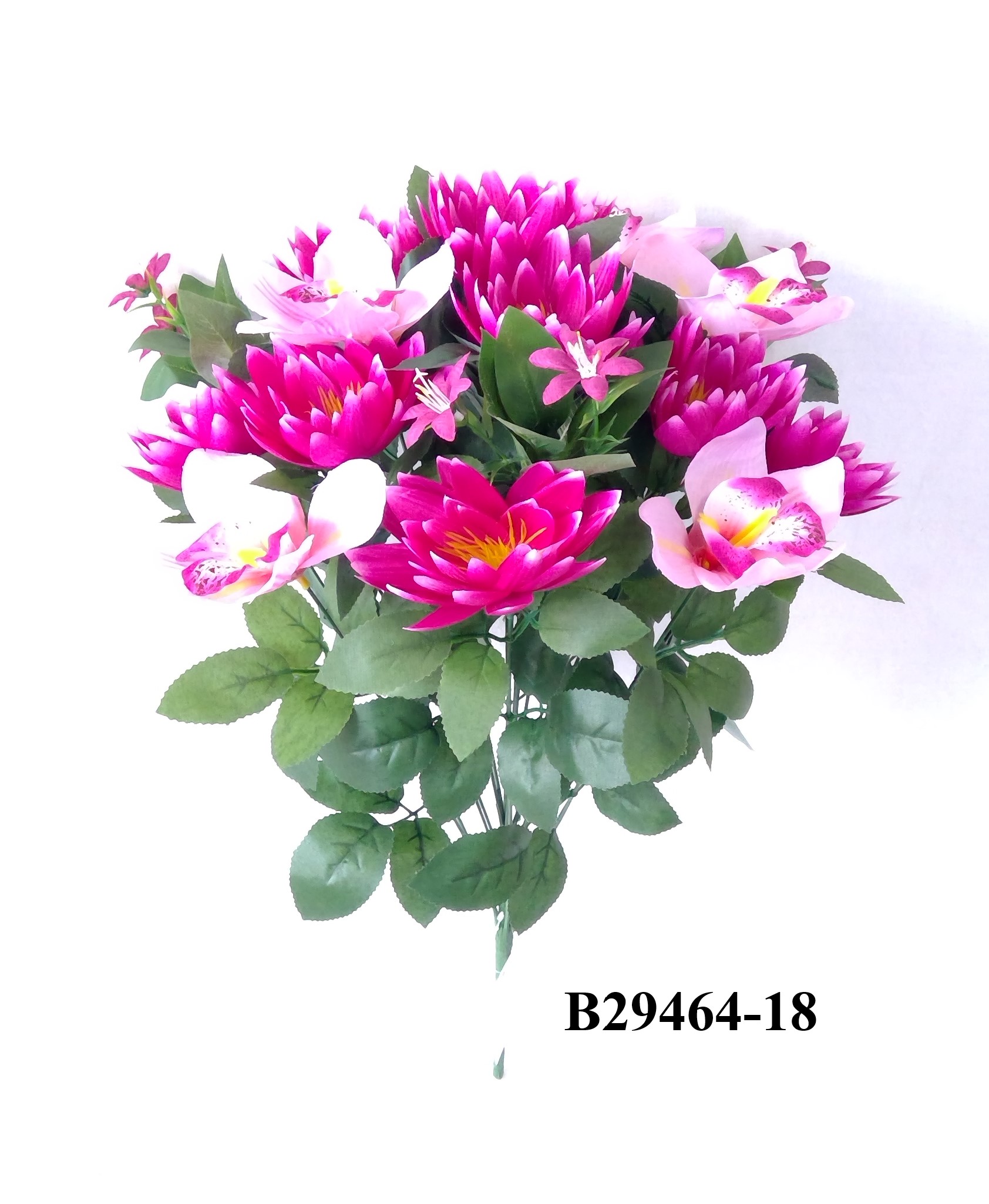 Lotus orchid mix bush x 18