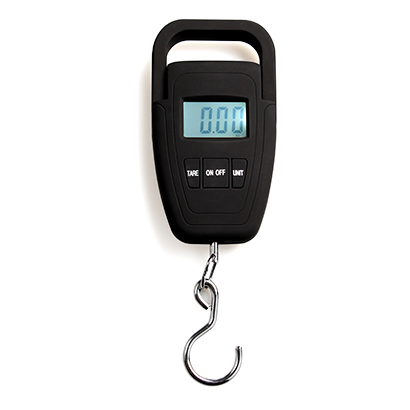 Eh-ls006 portable hook scale