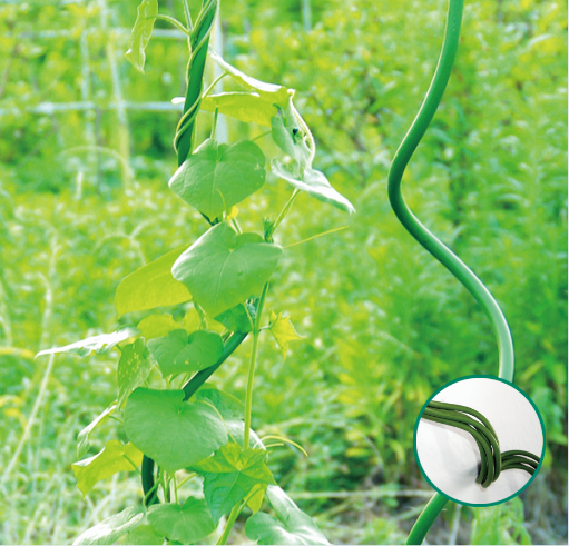 Spiral Stake