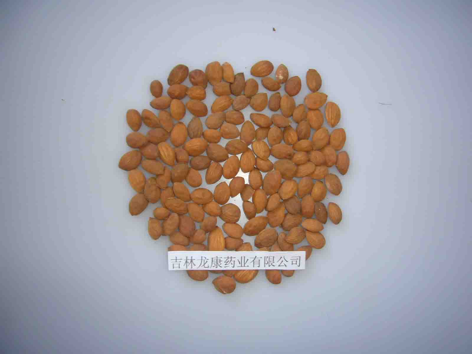Peach Kernel