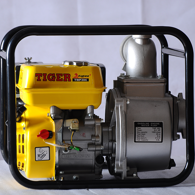Gasoline Engine Water Pump