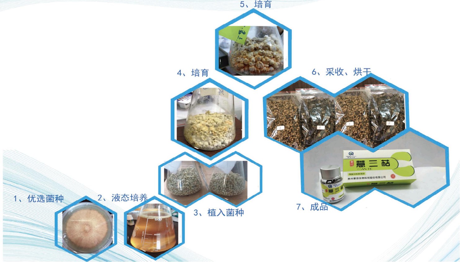 Xingren Yiren Import-Export E-Commerce Trading Co., Ltd. – Other gifts and premiums 1
