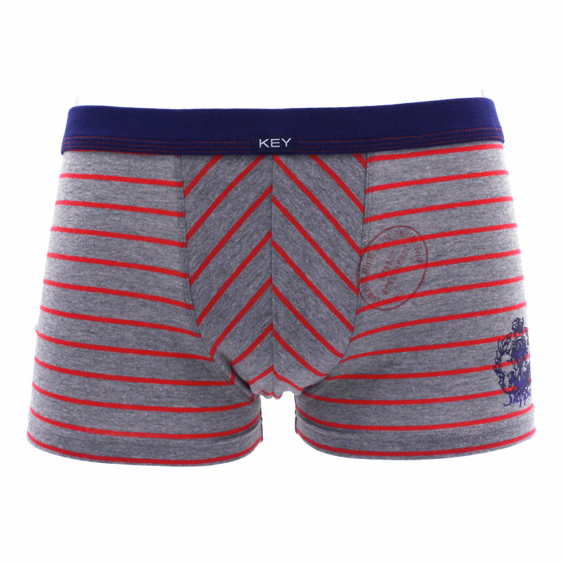 Men's Boxer
