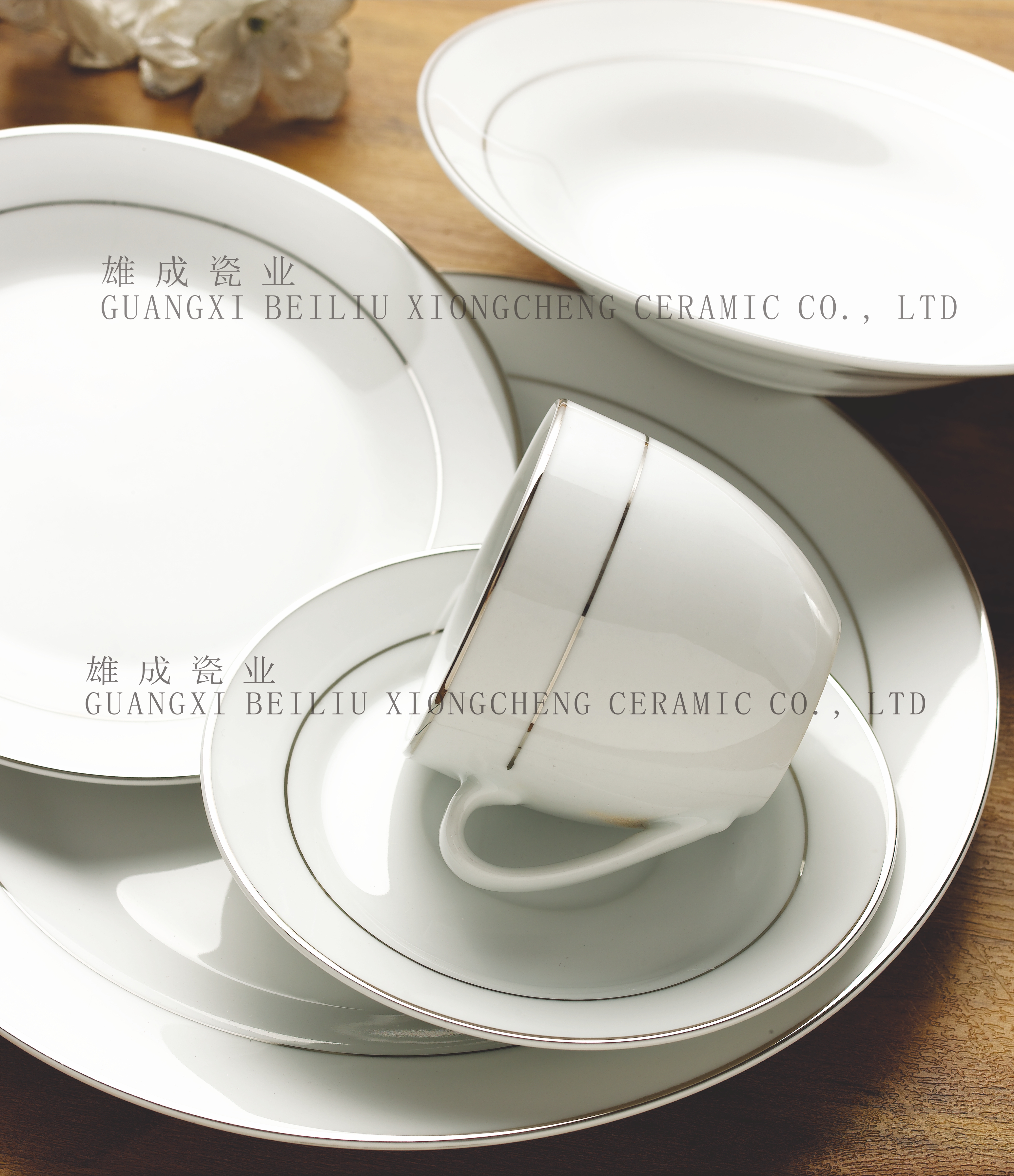 20 PCS dinner set