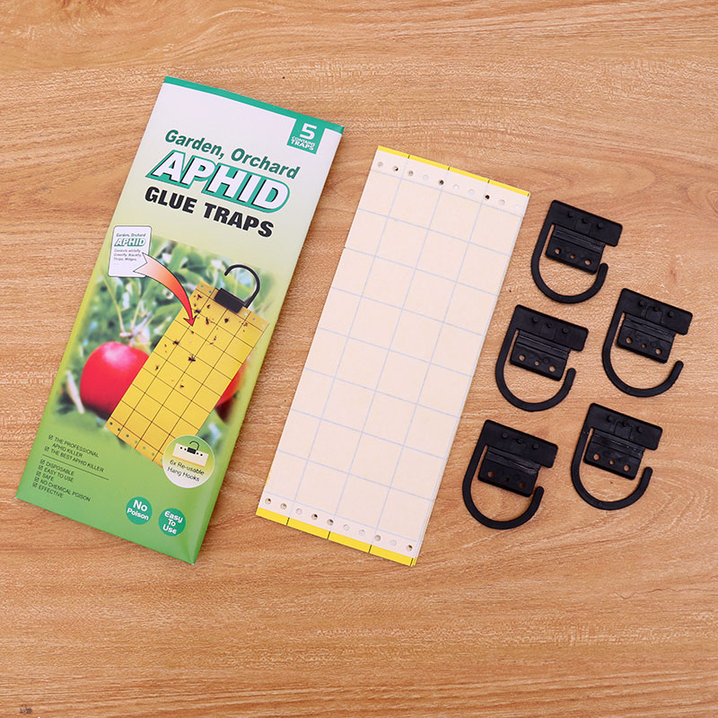Flay Paper Board Type
