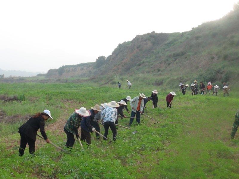 Shanxi Hongtian Jiali Agricultural Technology Co., Ltd. – Photos produits 3