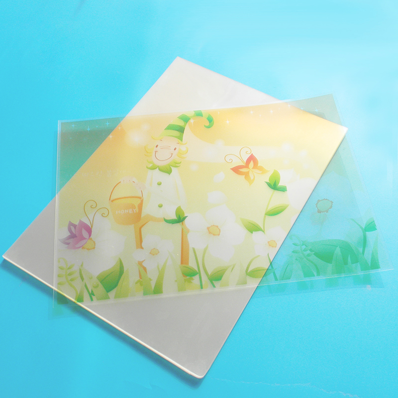 YIXING WANGZHE LAMINATING FILM CO.,LTD. – carpeta de cartón 4