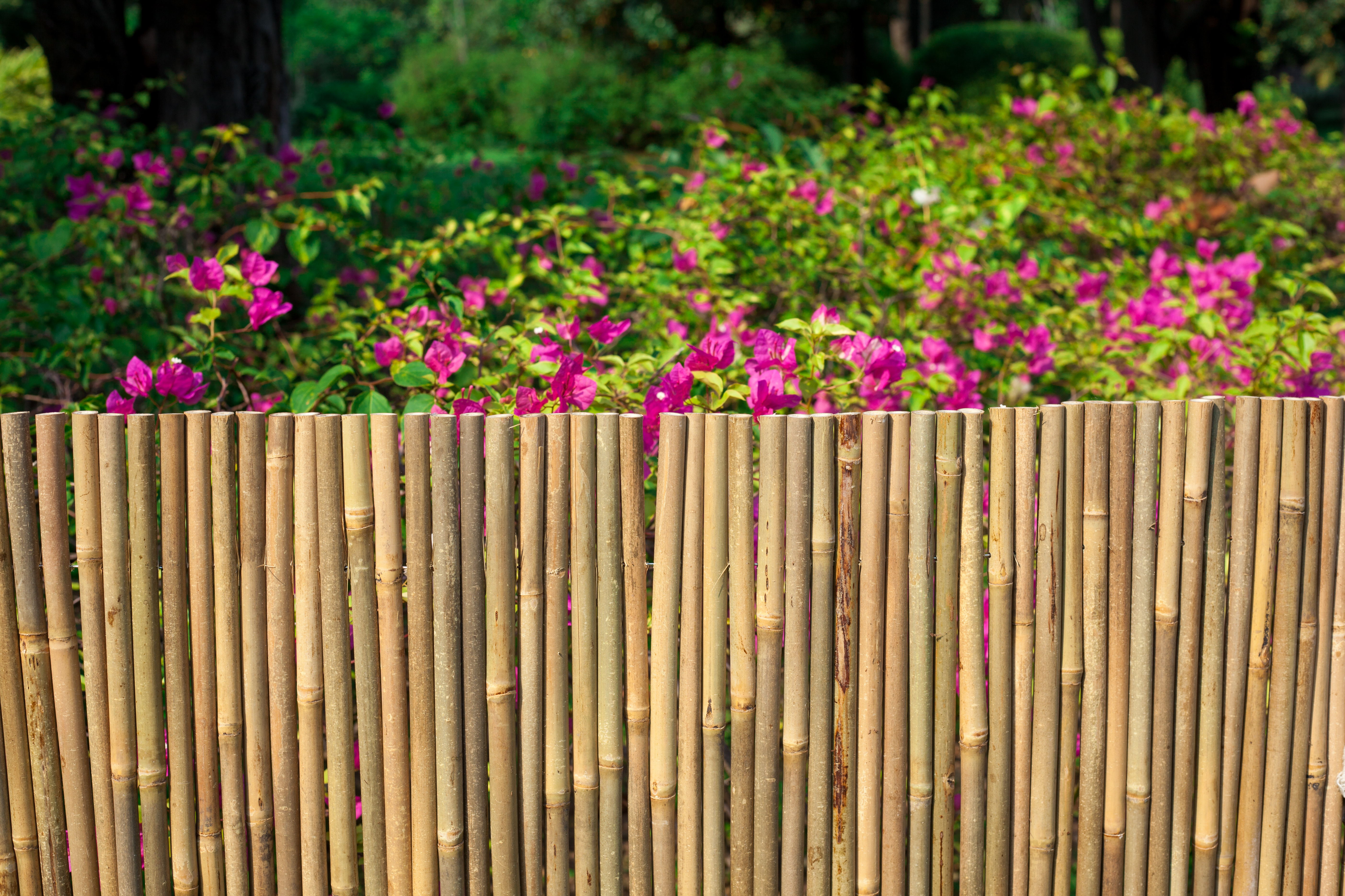 Bamboo Bunch Stake Fence