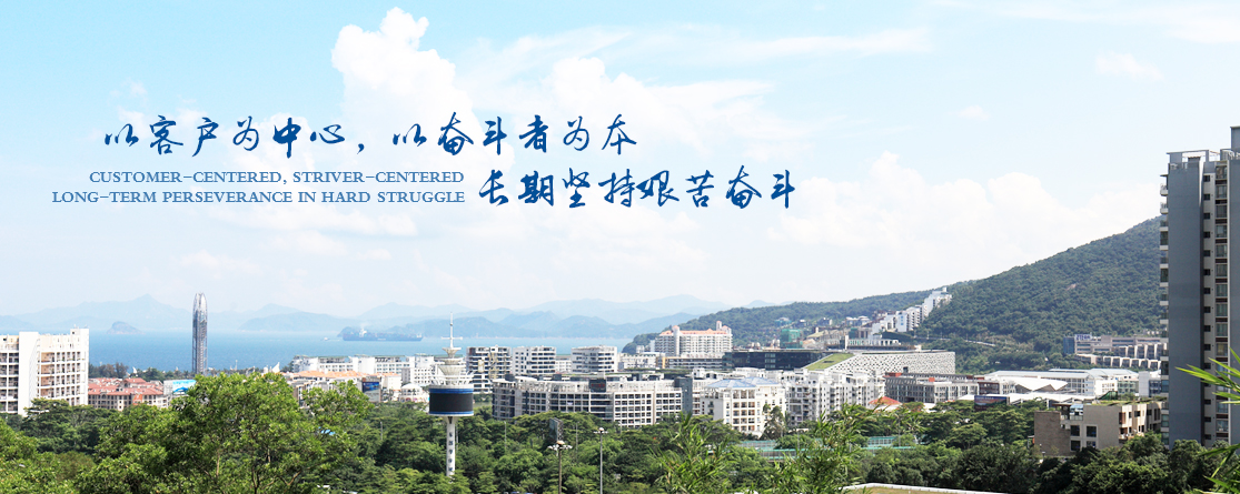 Shenzhen Ankewen Industrial Co., Ltd. – frequency converter 2