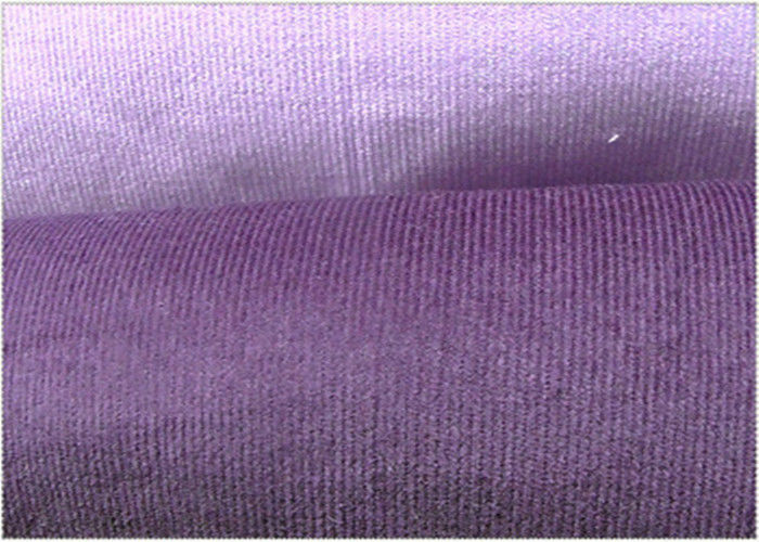 Percent Cotton Fabric